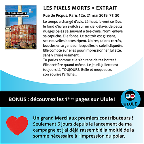 Résumé et extraits Polar Les Pixels Morts de Marie-Hélène Branciard